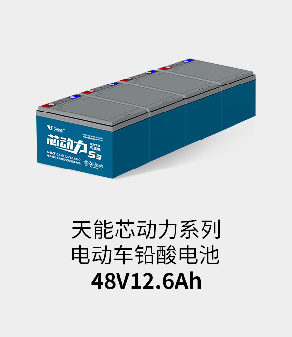 壹定发电池48v12ah