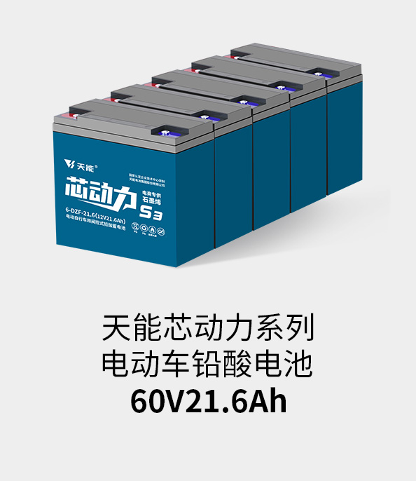 壹定发电池60v20ah