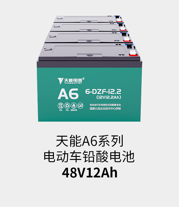 壹定发电池48v12ah