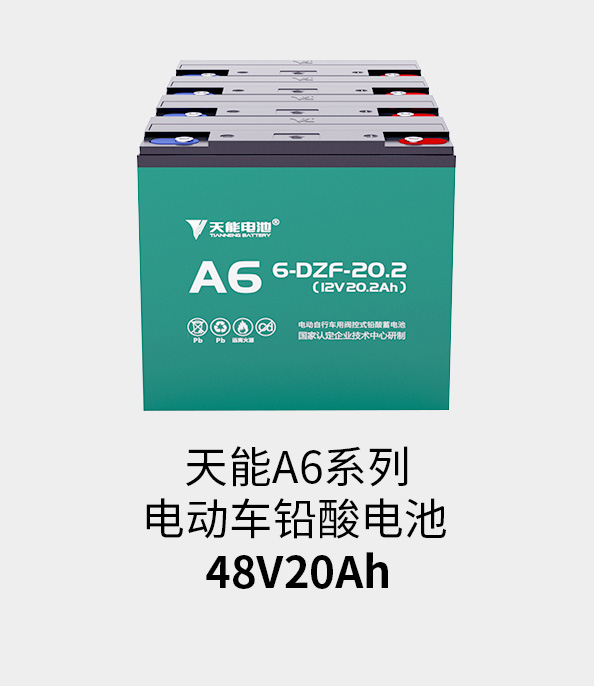 壹定发电池48v20ah