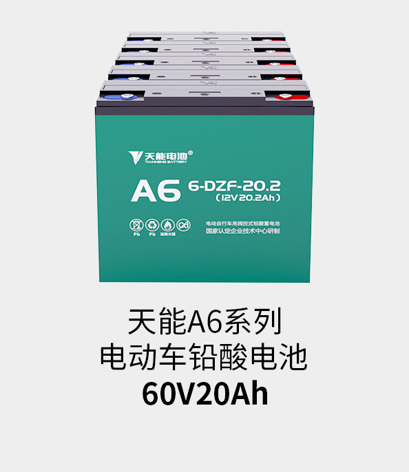 壹定发电池60v20ah
