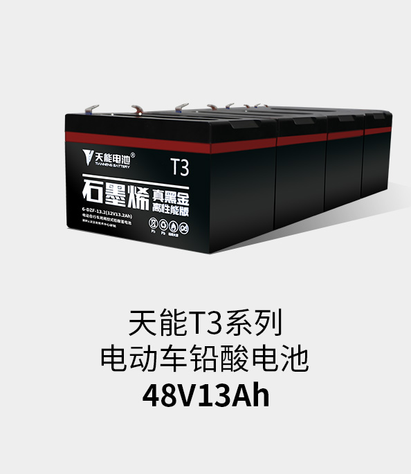 壹定发T3系列48v13ah