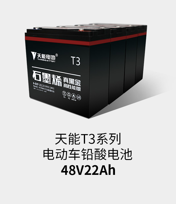 壹定发T3系列48v22ah