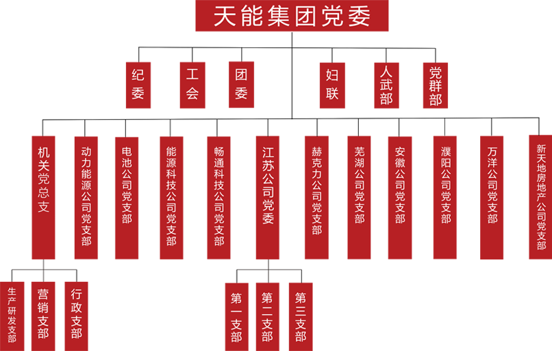 壹定发建团党委组织架构
